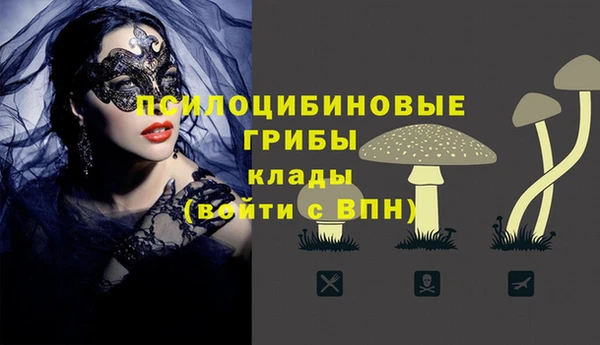 альфа пвп Армянск