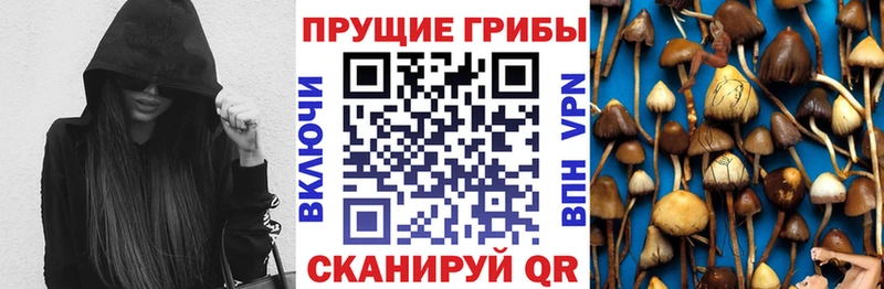 MEGA ссылка  купить закладку  Мичуринск  Псилоцибиновые грибы мухоморы 